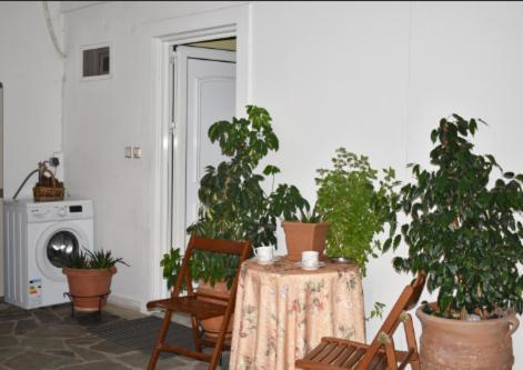 Zoe'S Apartment Bright&Cozy Athen Eksteriør billede